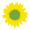 Sunflower (Green symbol).png